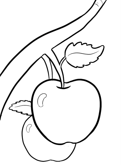 Tranh trái khoáy táo bên trên cây