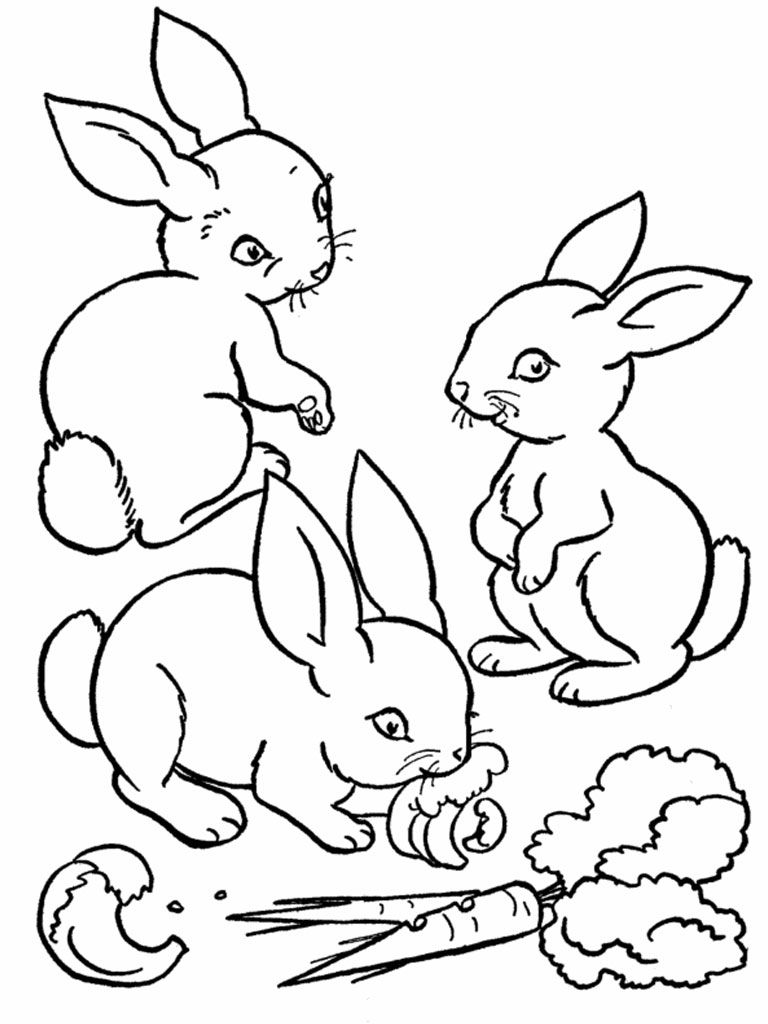 299 Cách Vẽ Con Thỏ Dễ Thương CUTE Đơn Giản Hơn Đan Rổ