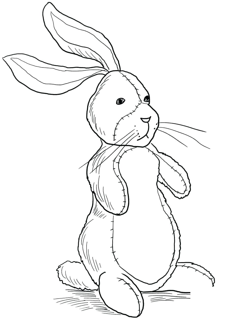 Hướng dẫn cách vẽ con thỏ đơn giản với 9 bước cơ bản  Thiết kế nhà đẹp