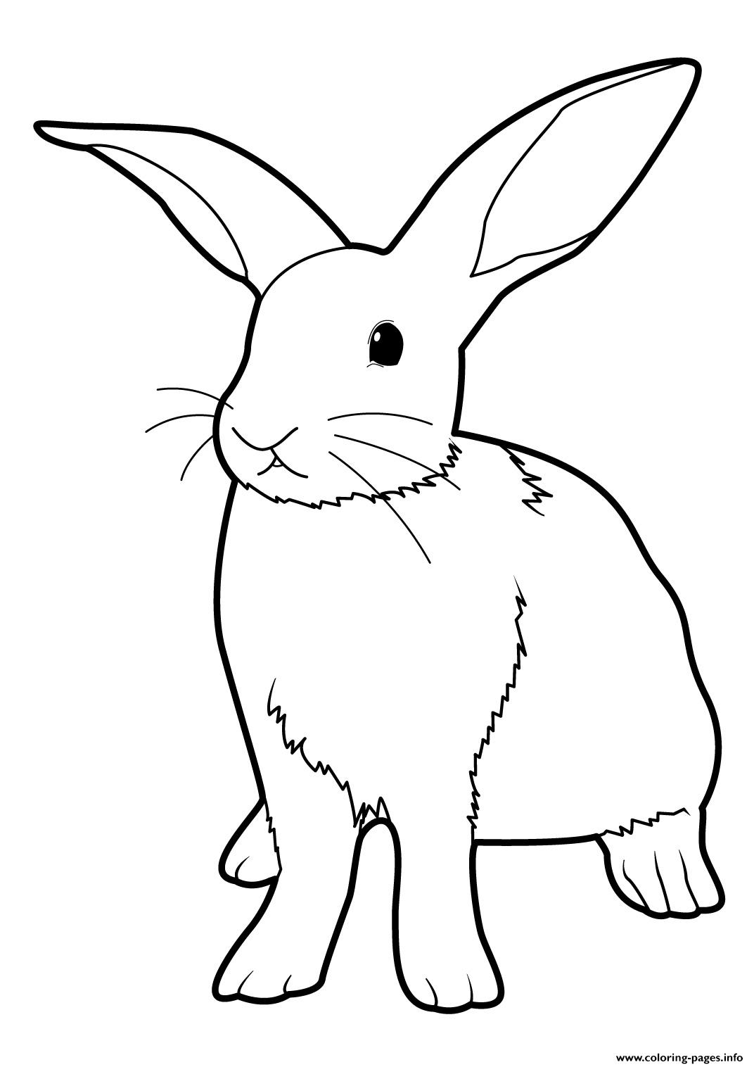 Tranh tô màu chú thỏ tai dài