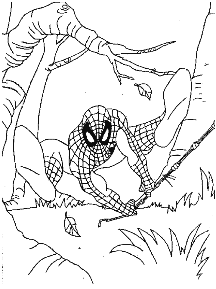Tranh tô màu người nhện trong rừng