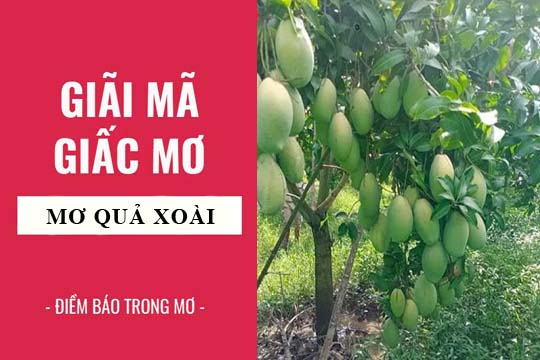 Giải mã giấc mơ: Nằm mơ thấy quả xoài điềm báo gì, lành hay dữ? con số liên quan