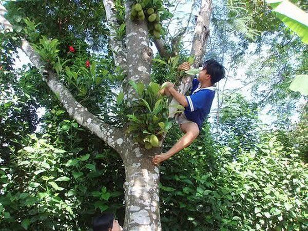 Mơ thấy trèo lên cao đánh con gì? Điềm báo gì ẩn dấu trong giấc mơ